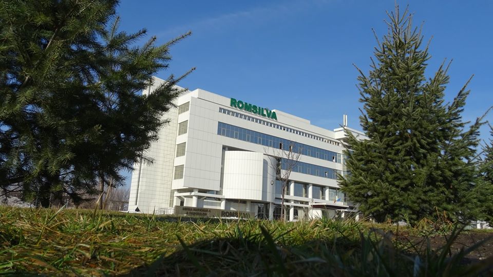 Agresiune gravă asupra unui pădurar din Vaslui