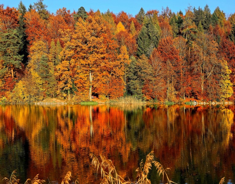 Vremea în Transilvania