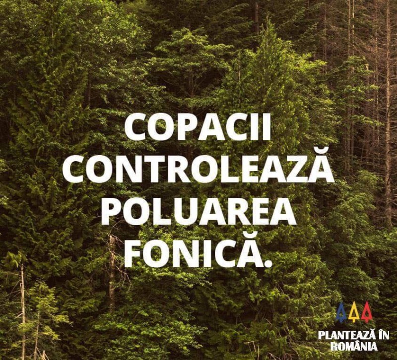 ”Plantează în România” aduce la Brașov o bariera fonică pentru viitorul aeroport de la Ghimbav ”Plantează în România” aduce la Brașov o bariera fonică pentru viitorul aeroport de la Ghimbav