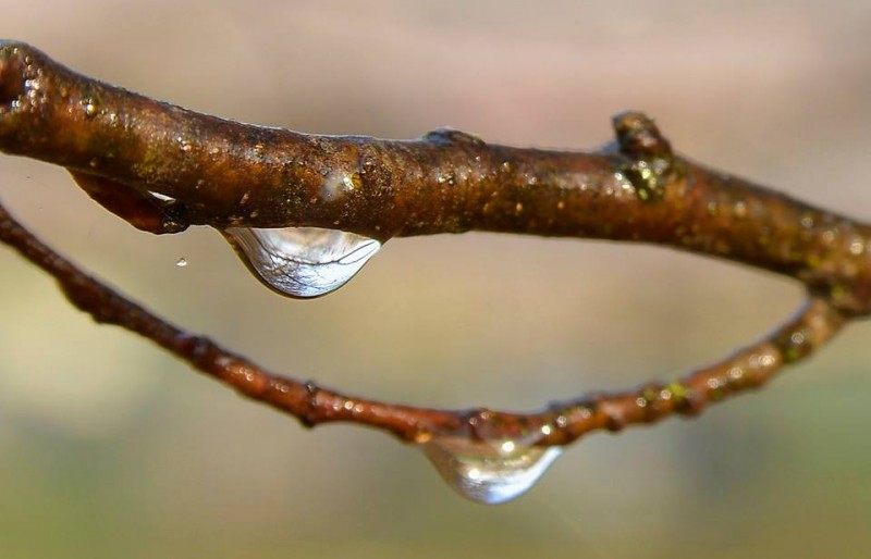 Cod galben de instabilitate atmosferică şi ploi în 27 de judeţe Cod galben de instabilitate atmosferică şi ploi în 27 de judeţe