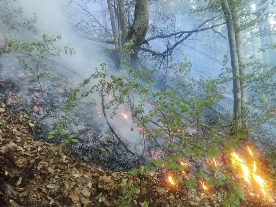 Incendiu de litieră de pădure într-o zonă greu accesibilă, în comuna harghiteană Plăieşii de Jos