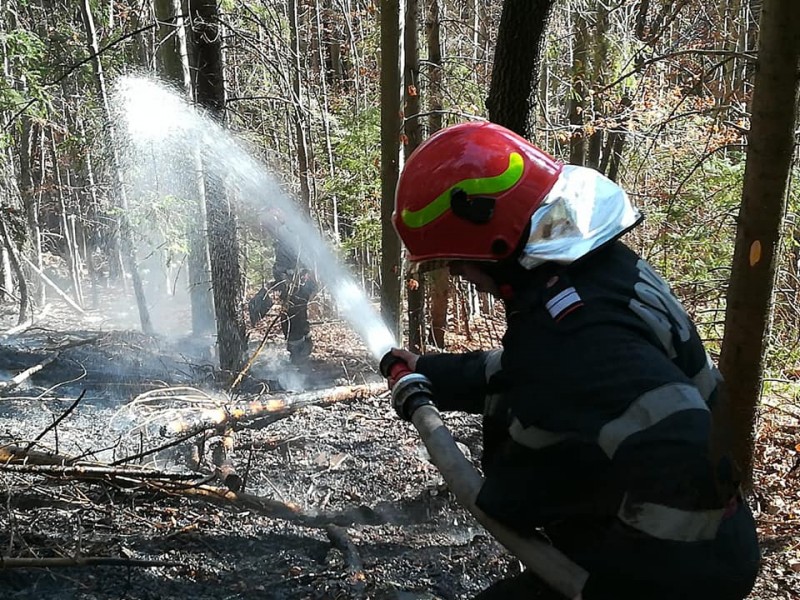 A fost stins incendiul de vegetaţie din zona Gheorgheni