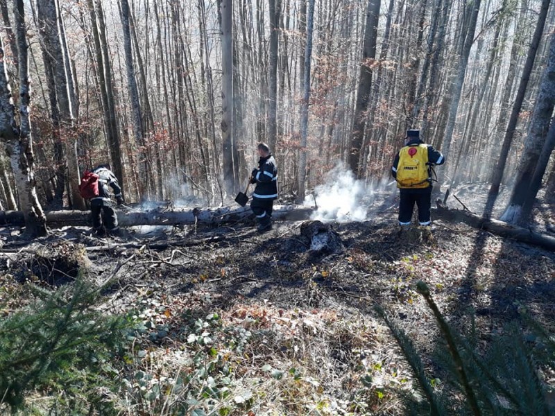 Zeci de pompieri şi lucrători silvici intervin pentru stingerea unui incendiu de pădure lângă Cisnădie