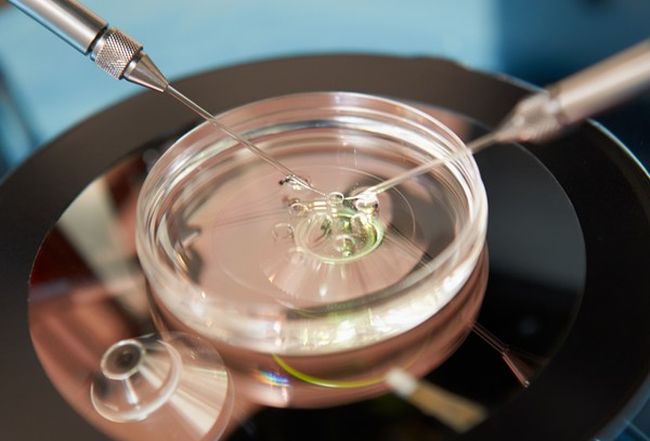 Municipalitatea brașoveană va cofinanţa tratamentul de fertilizare „in vitro“ pentru cuplurile braşovene Municipalitatea brașoveană va cofinanţa tratamentul de fertilizare „in vitro“ pentru cuplurile braşovene