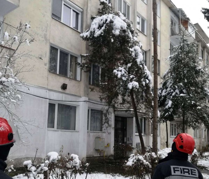 Copac căzut peste un bloc din Tg.Mureș