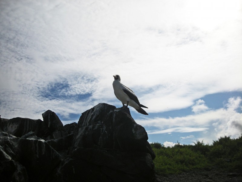 Autorităţile din Insulele Galapagos au interzis artificiile