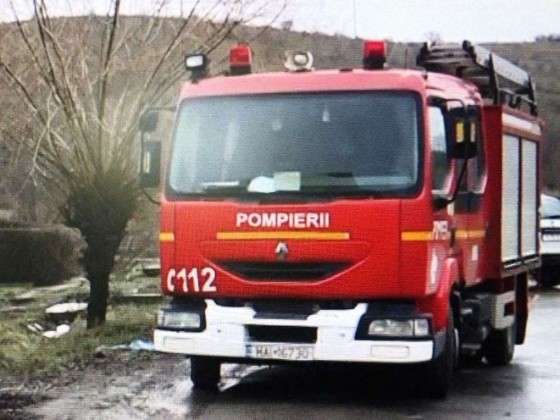 Pompierii mureșeni au intervenit pentru salvarea unei bovine împotmolite în nămol Pompierii mureșeni au intervenit pentru salvarea unei bovine împotmolite în nămol