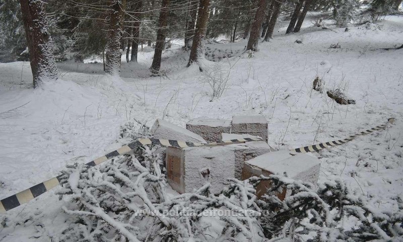Poliţiştii de frontieră au confiscat aproape 16.000 de pachete cu ţigări