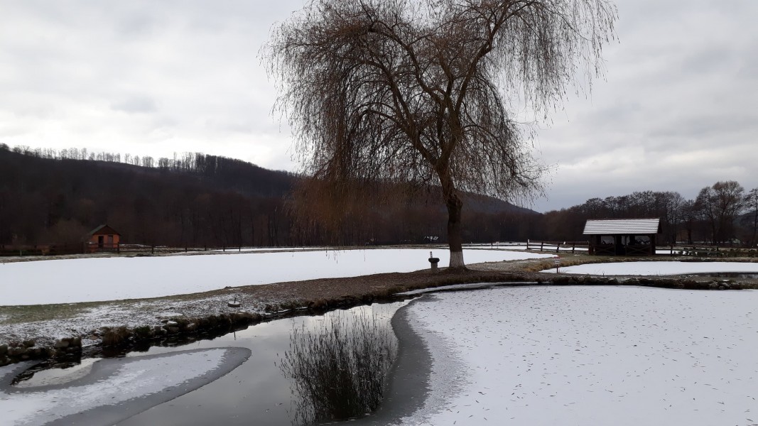 Vremea va fi în general închisã, în Transilvania