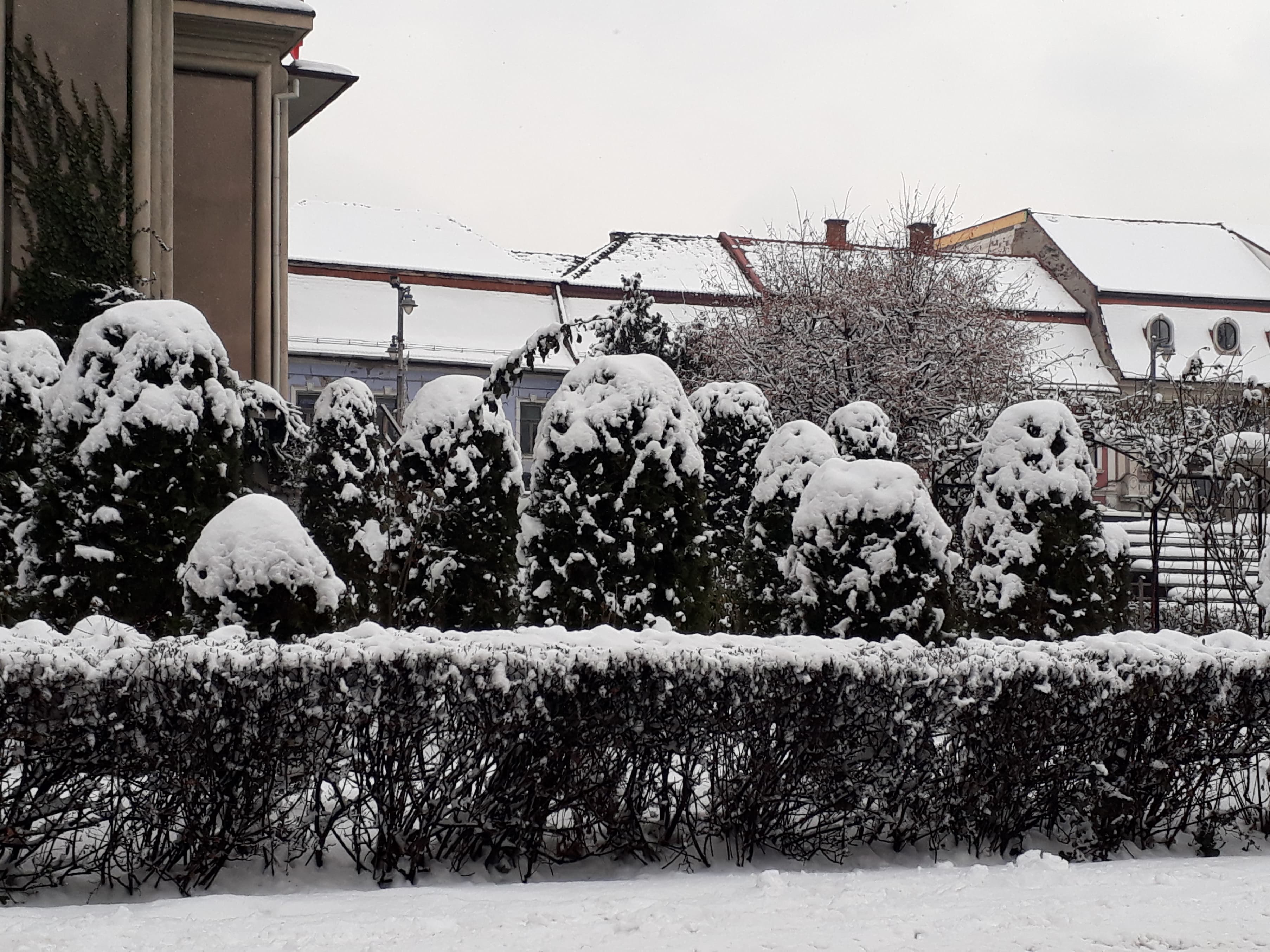 Vremea se va rãci, devenind normalã din punct de vedere termic