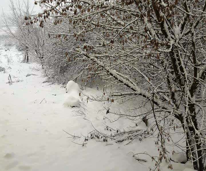 Va mai ninge in Transilvania…