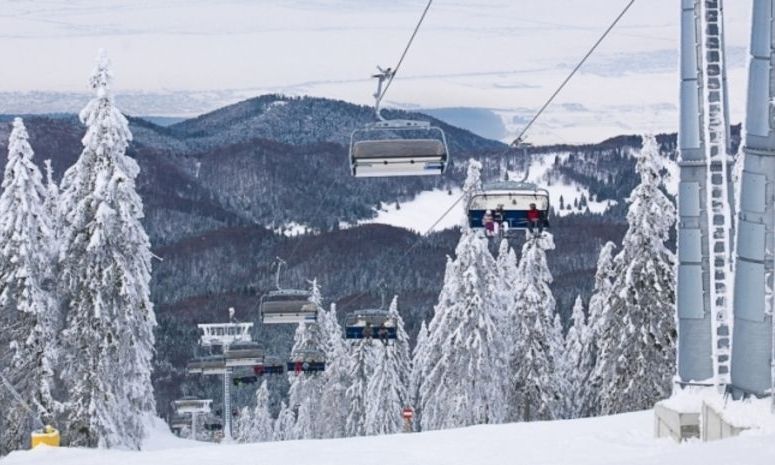Telescaunul Ruia din Poiana Brașov, oprit după ce un brad a căzut pe instalaţie