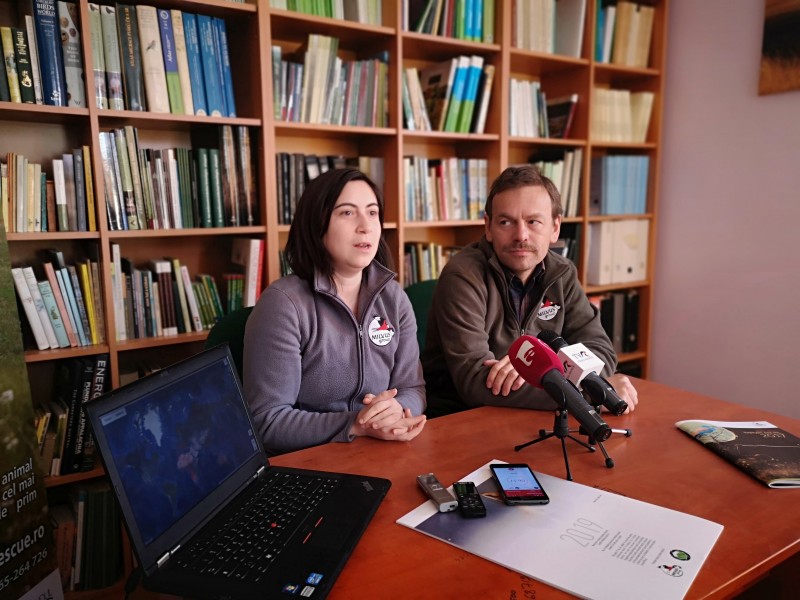 Păsările călătoare au început să sosească la Tg. Mureș