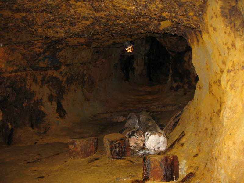 Compania canadiană Gabriel Resources – acţionarul majoritar la Roşia Montană Gold Corporation – a chemat România în instanţă