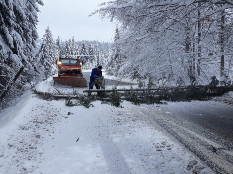 Circulaţie închisă pe DN 12C, din cauza căderilor de arbori