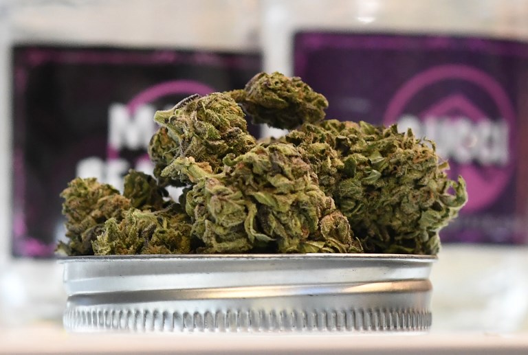 Cannabisul ar putea fi introdus un practica medicală din România