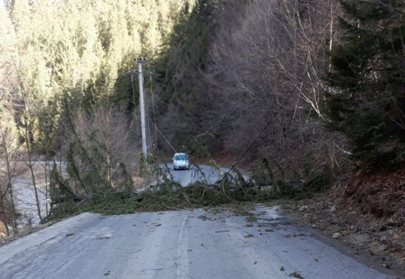 Probleme din cauza vântului puternic Probleme din cauza vântului puternic