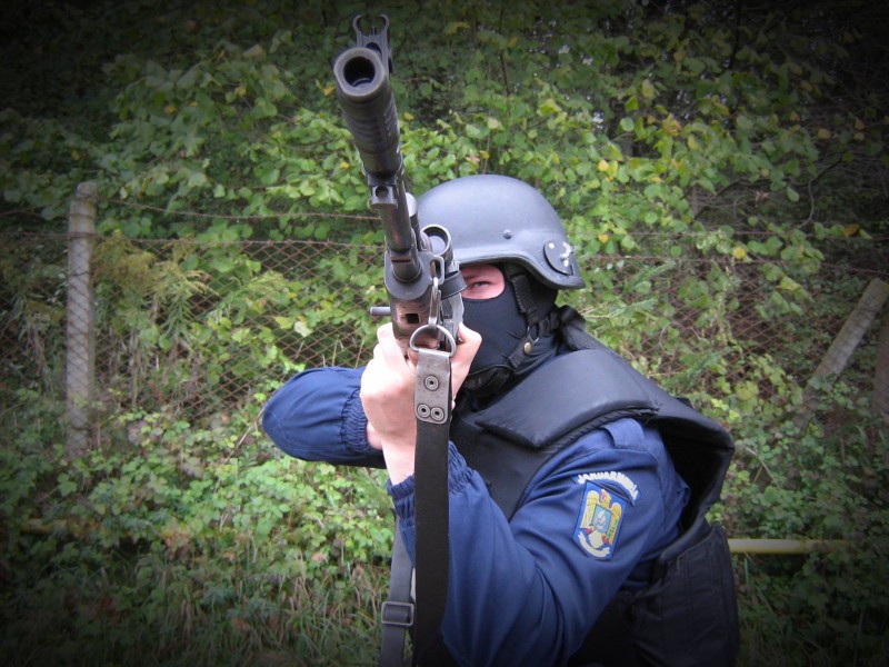 Jandarmeria Română a avut anul acesta peste 500 de intervenţii în situaţii ce au vizat prezenţa animalelor sălbatice