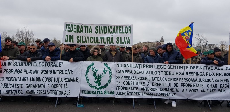 Proteste ale sindicaliștilor din silvicultură
