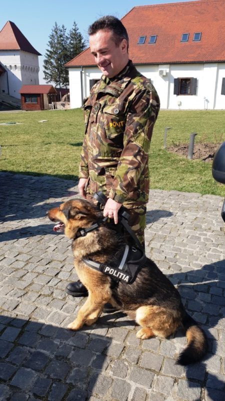 Pet Blitz | Animalele de serviciu nu vor mai fi eutanasiate