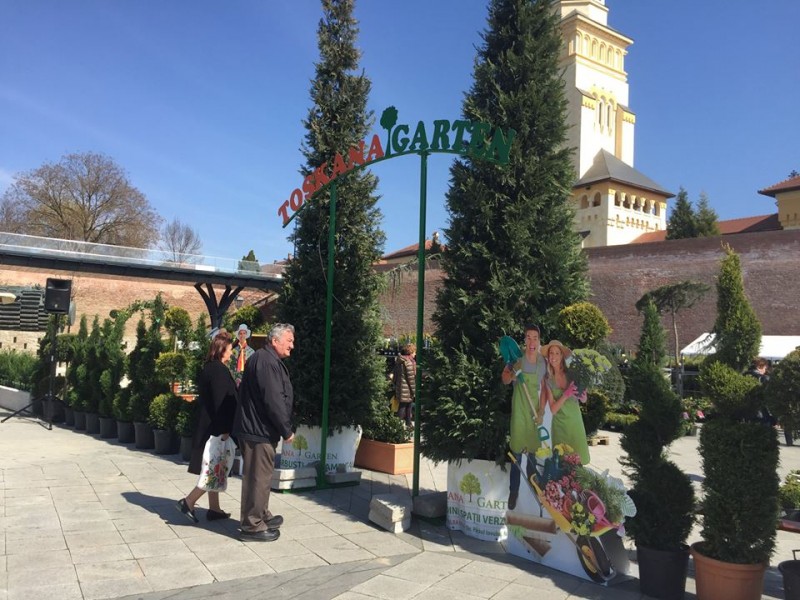 Sfaturi pentru pasionații de flori la Târgul Grădinarului la Alba Sfaturi pentru pasionații de flori la Târgul Grădinarului la Alba