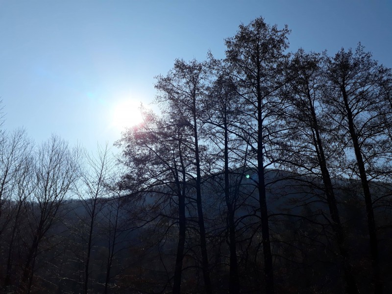 Vremea în Transilvania Vremea în Transilvania