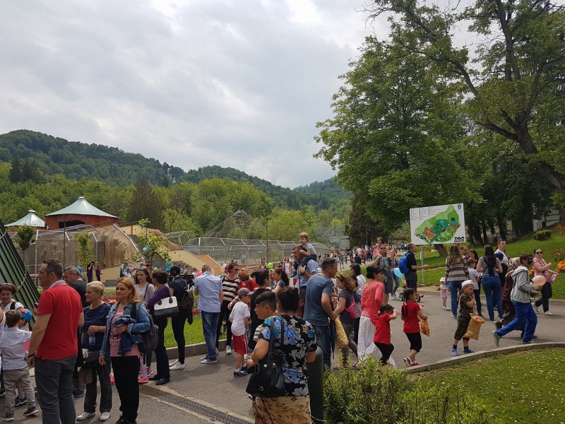 Zoo Brașov intră, de vineri, în program de vară