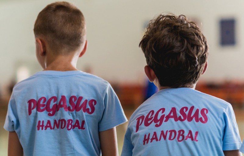 Pegasus s-a calificat la Turneul Semifinal de handbal