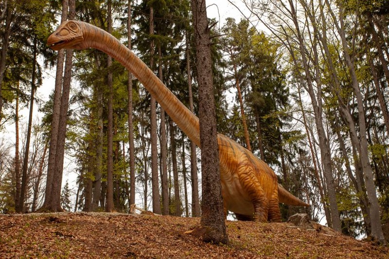 „Cel mai mare dinozaur din lume”, la Râșnov