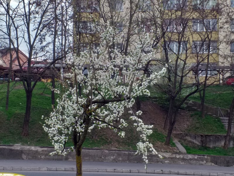 Vremea va fi caldã pentru aceastã perioadã