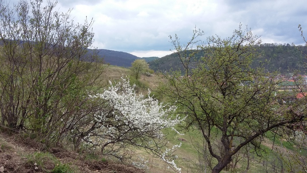 Vremea se va răci în aproape toată țara