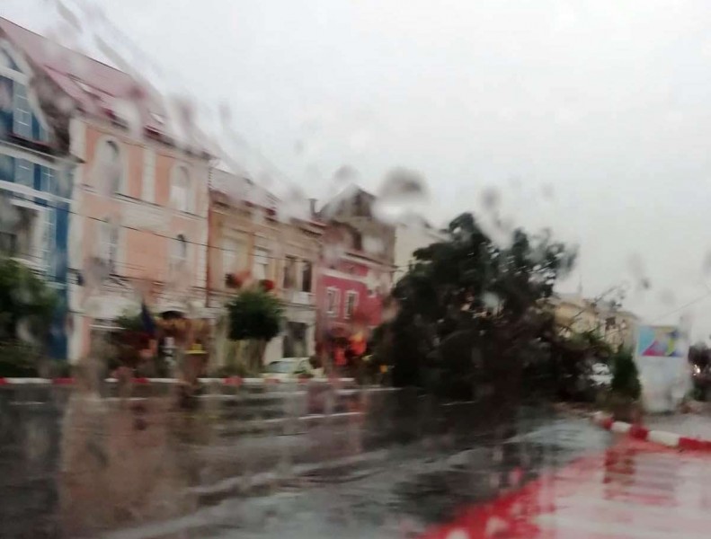 Peste 20 de copaci doborâți de furtună în Mureș