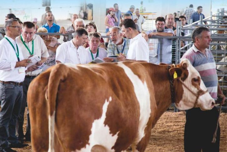 Ziua Naţională a Bălţatei, vineri și sâmbătă la Tg.Mureș