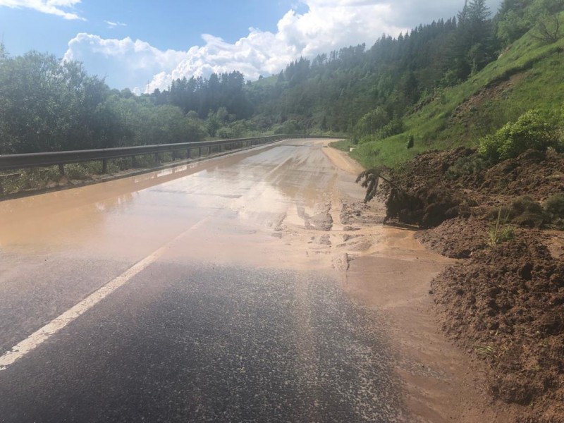 Peste 10 copaci – doborâţi de furtună în Brașov