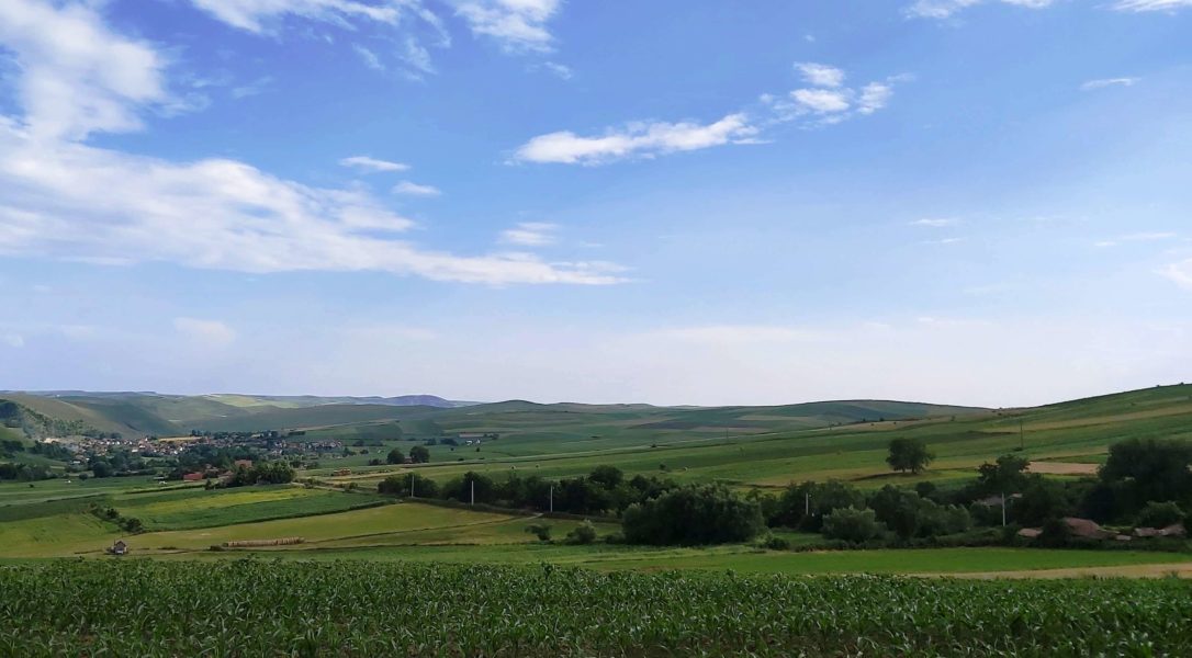 România va avea parte de o perioadă de secetă în cea de-a doua parte a verii, afirmă directorul general al ANM