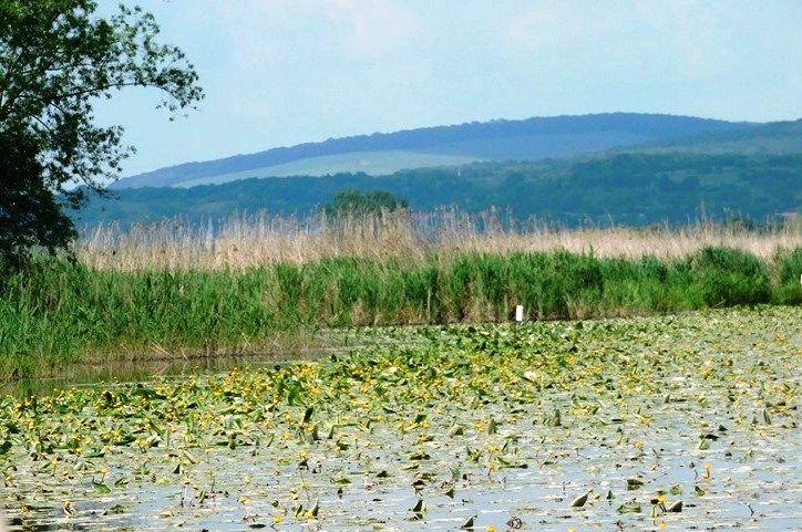 Cod galben de inundaţii pentru râuri din Harghita, Covasna, Braşov, până duminică dimineaţa