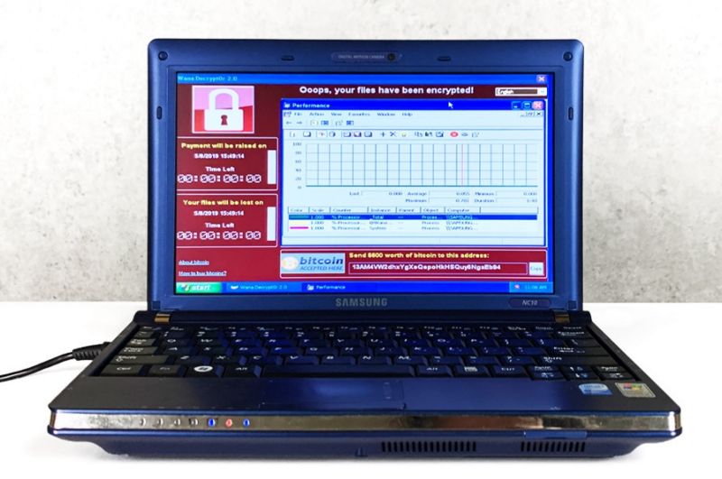 1.345 milioane dolari pentru un computer care conține șase viruşi periculoși