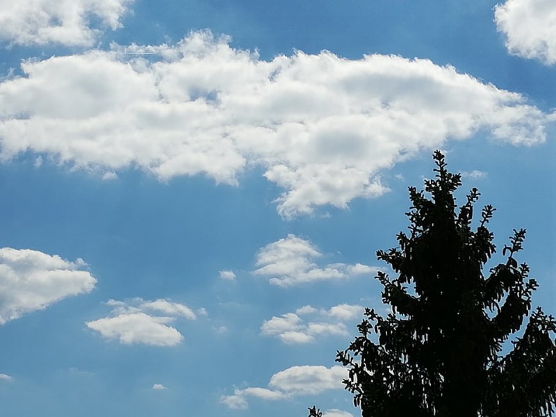 Vremea se va incălzi în Transilvania Vremea se va incălzi în Transilvania