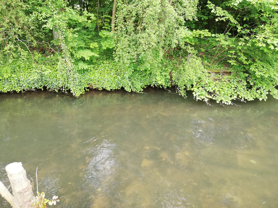 Avertizare de inundaţii, pe trei râuri din judeţele Mureş şi Alba