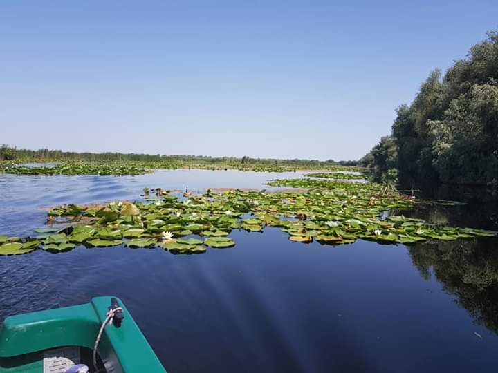 Turişti reticenţi în a-şi programa vacanţele în Deltă de sărbătorile de iarnă
