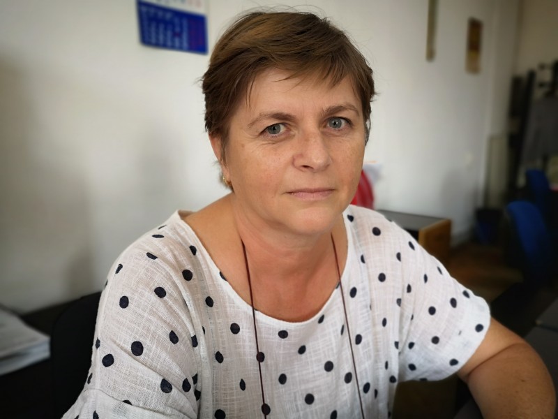 14 cazuri de intoxicații cu ciuperci în Mureș