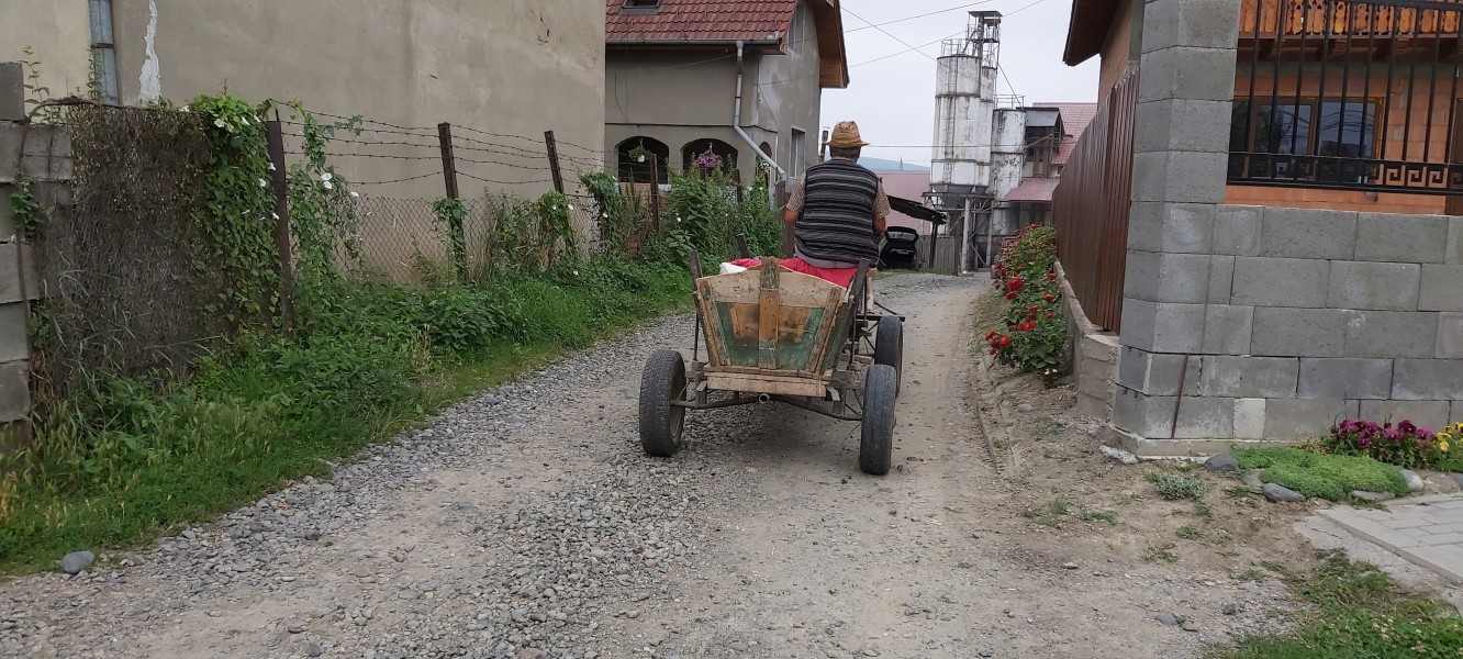 Harghita: Bărbat decedat strivit de căruţa cu lemne pe care o conducea