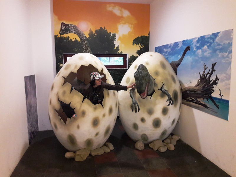Expoziţie de cuiburi de ouă de dinozaur la Dino Parc Râşnov