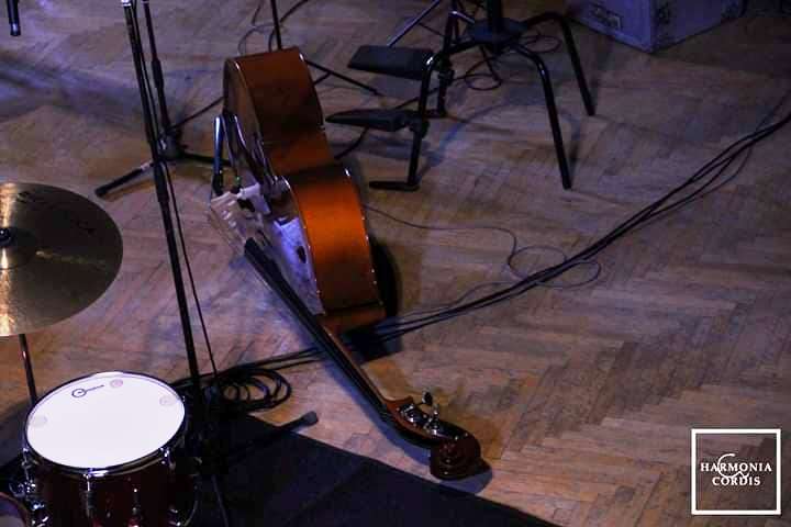 Festivalul Internaţional de Chitară „Harmonia Cordis”, la Tîrgu Mureș