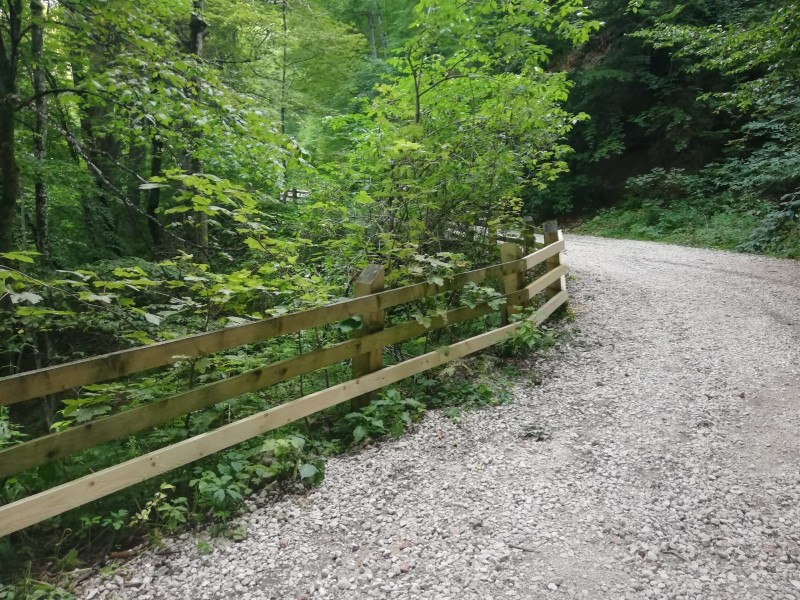 Drumul vechi spre Poiana Brașov a fost reparat și redat circulației turiștilor Drumul vechi spre Poiana Brașov a fost reparat și redat circulației turiștilor
