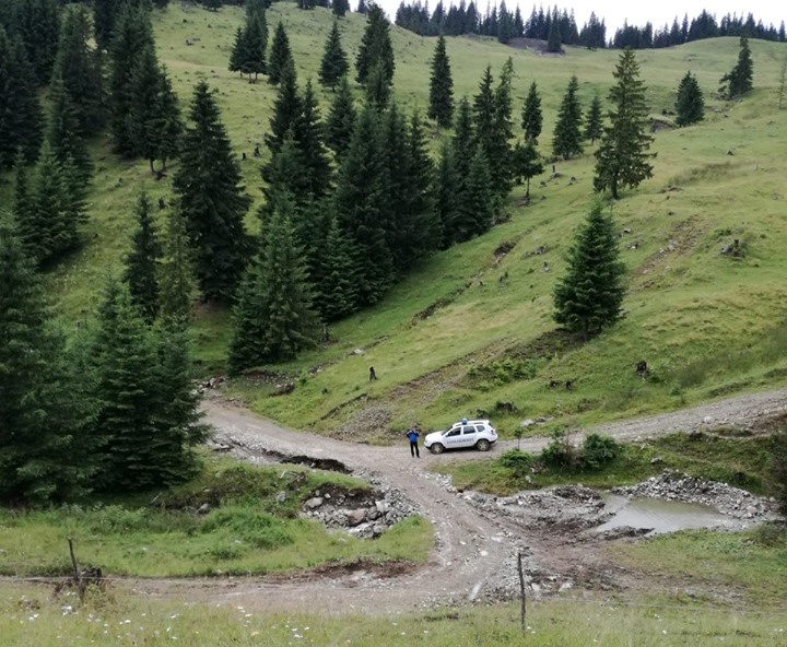 Harghitean rătăcit în zona montană, găsit de jandarmi