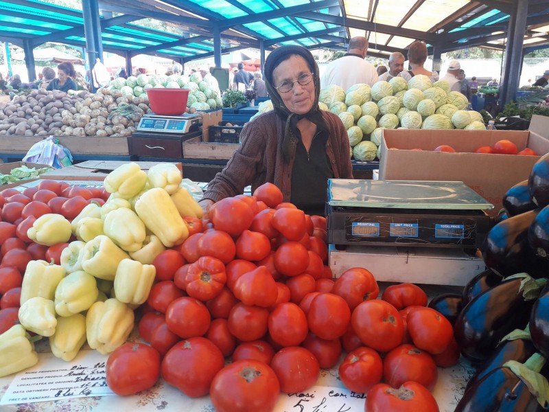 Micii producători, nemulțumiți de schimbările din Programul „Tomata“