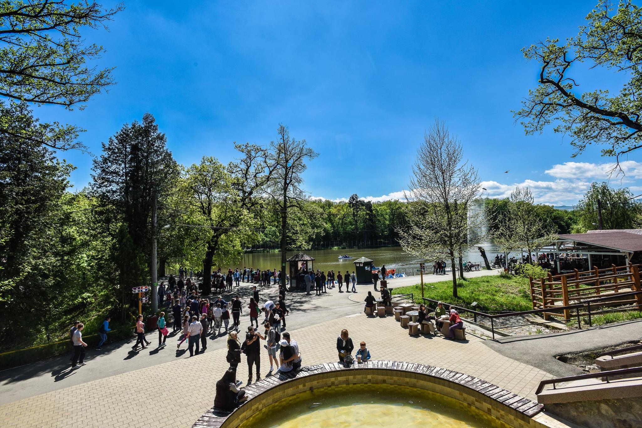 Fetiţă muşcată de lup la Grădina Zoologică din Sibiu