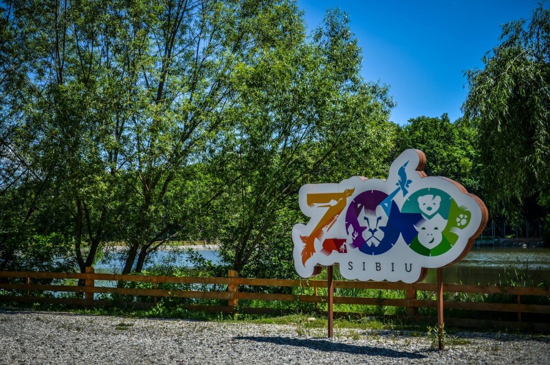 Incendiu la Zoo Sibiu