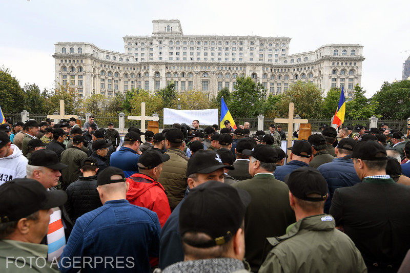 Sindicaliștii din Silvicultură au ieșit în stradă și cer un statut asemănător polițiștilor